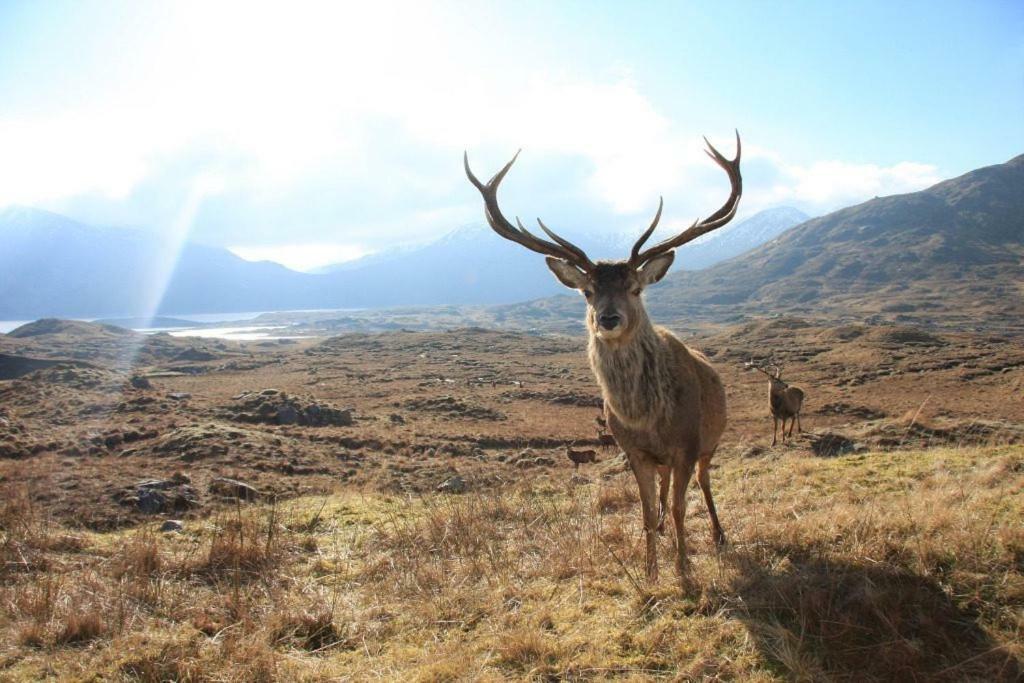Glencroft A Fairytale Highland Cottage Абърфелди Екстериор снимка